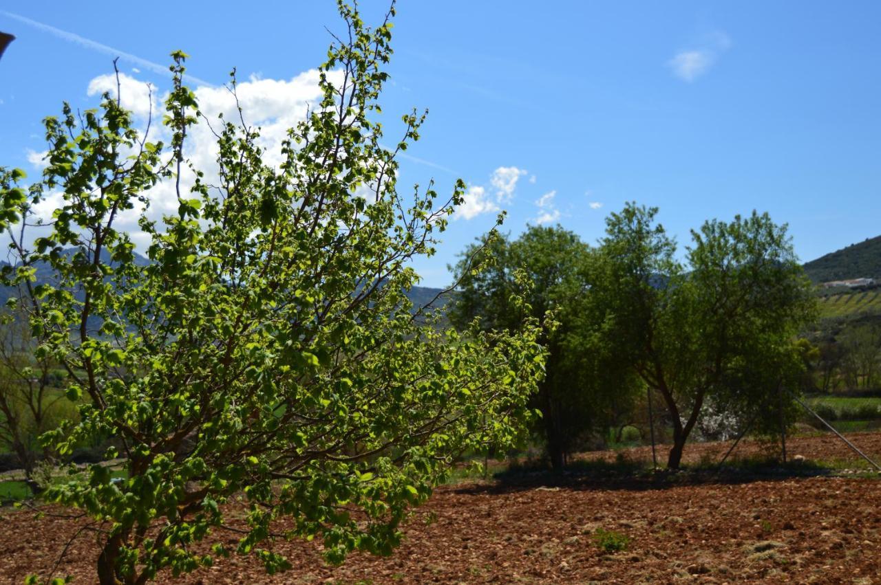 Cortijo Petra Bed & Breakfast Villanueva del Rosario Exterior photo