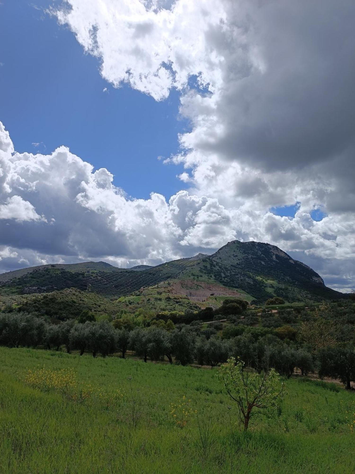 Cortijo Petra Bed & Breakfast Villanueva del Rosario Exterior photo